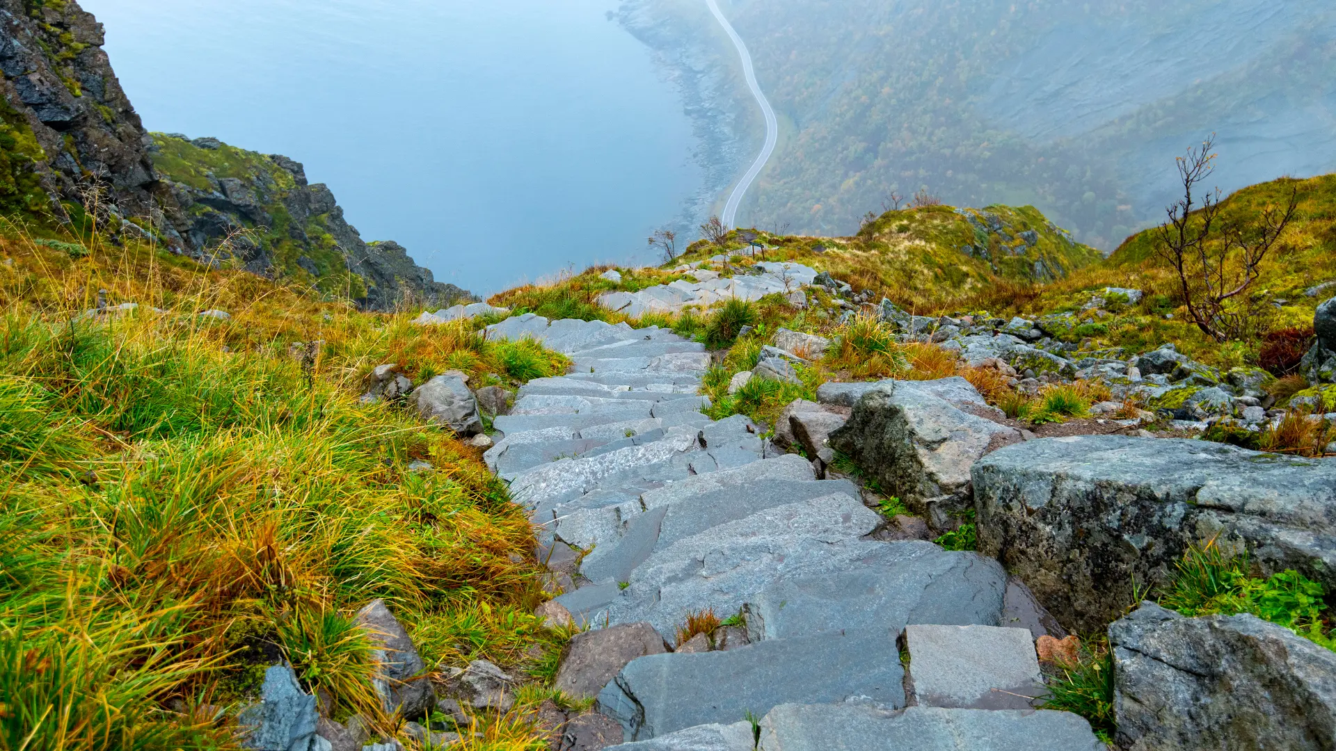 Stone steps on the Reinebringen hike in the Lofoten Islands, Norway, descending steep terrain with a fjord visible below.